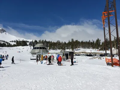 20190517_100516 (Large).jpg